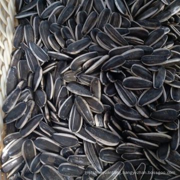 factory selling healthy Type 5009 & 601 & 363 hulled sunflower seeds